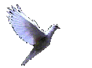 The Dove of Peace