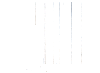 UPC code, just for looks! hehe